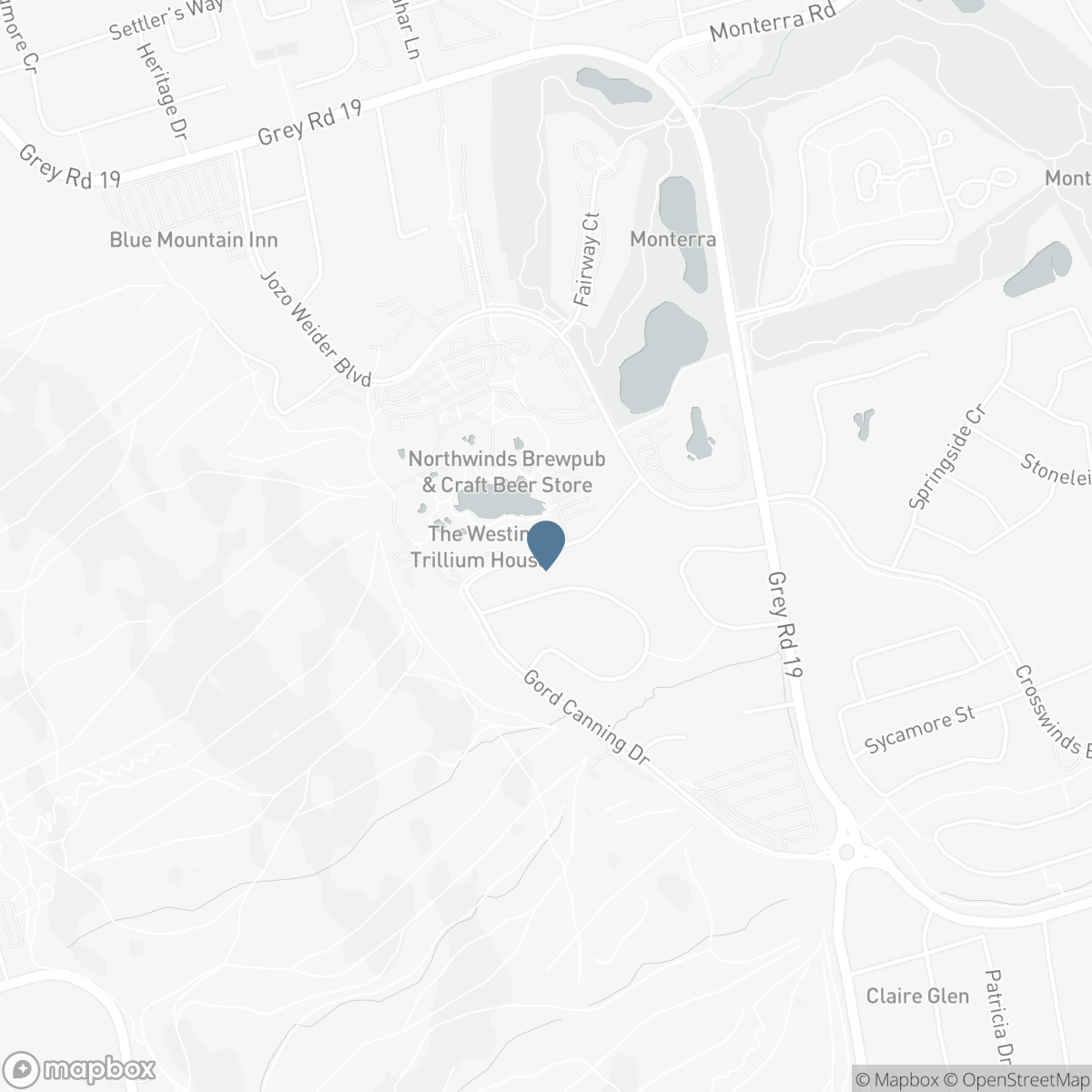 321 - 220 GORD CANNING DRIVE, The Blue Mountains, Ontario L9Y 0K9